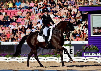 dressage
granprix special
Keywords: pt;carina cassøe krüth;heiline's danciera