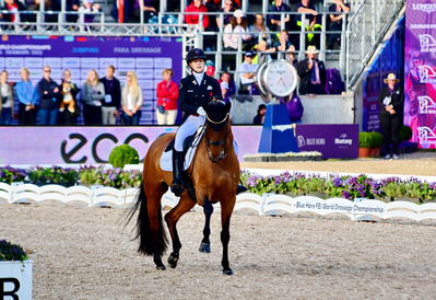 dressage
granprix special
Keywords: pt;cathrine laudrup-dufour;vamos amigos