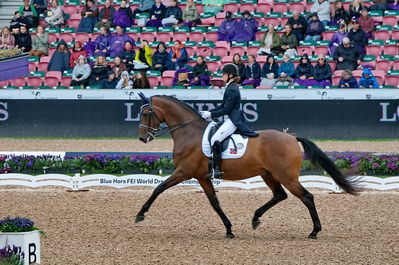 Dressage
grand prix de drassage team championship
Keywords: pt;trude k hestengen;christianslund furstino