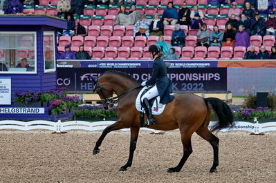 Dressage
grand prix de drassage team championship
Keywords: pt;trude k hestengen;christianslund furstino