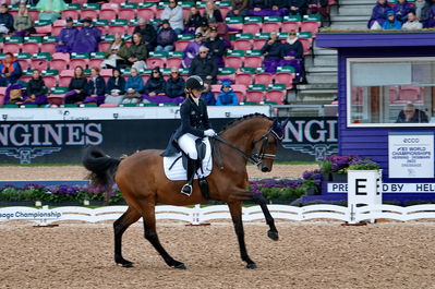 Dressage
grand prix de drassage team championship
Keywords: pt;trude k hestengen;christianslund furstino