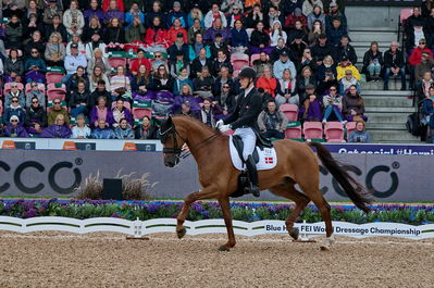 dressageg
grand prix de drassage team championship
Keywords: pt;daniel bachmann andersen;marshall-bell