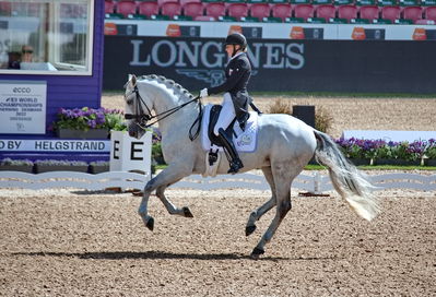 Dressage
grand prix de drassage team championship
Keywords: pt;fie christine skarsoe;imperador dos cetros