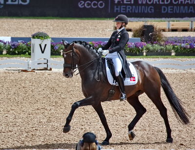 Dressage
grand prix de drassage team championship
Keywords: pt;nanna merrald rasmussen;bh zack