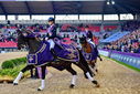 Filename=2_PT9_0127.JPG
Filesize=4800KiB
Dimensions=4200x2804
Date added=Aug 09, 2022 2_PT9_0127.JPG