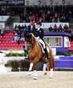 Filename=2_PT9_0138.JPG
Filesize=7796KiB
Dimensions=2947x3547
Date added=Aug 09, 2022 2_PT9_0138.JPG