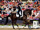Filename=2_PT9_9659.JPG
Filesize=10841KiB
Dimensions=4148x3177
Date added=Aug 09, 2022 2_PT9_9659.JPG