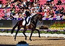 Filename=2_PT9_9688.JPG
Filesize=11909KiB
Dimensions=4357x3106
Date added=Aug 09, 2022 2_PT9_9688.JPG