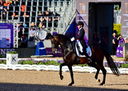 Filename=2_PT9_9700.JPG
Filesize=10986KiB
Dimensions=4357x3106
Date added=Aug 09, 2022 2_PT9_9700.JPG
