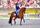 Filename=2_PT9_9849.JPG
Filesize=13718KiB
Dimensions=4357x3106
Date added=Aug 09, 2022 2_PT9_9849.JPG