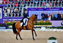Filename=2_PT9_9875.JPG
Filesize=11692KiB
Dimensions=4130x2838
Date added=Aug 09, 2022 2_PT9_9875.JPG