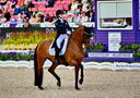 Filename=2_PT9_9907.JPG
Filesize=12133KiB
Dimensions=4366x3070
Date added=Aug 09, 2022 2_PT9_9907.JPG