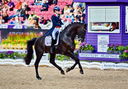 Filename=2_PT9_9950.JPG
Filesize=12761KiB
Dimensions=4395x3062
Date added=Aug 09, 2022 2_PT9_9950.JPG