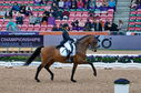Filename=PT2_5934.jpg
Filesize=9087KiB
Dimensions=4176x2772
Date added=Aug 07, 2022 PT2_5934.jpg