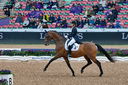 Filename=PT2_5940.jpg
Filesize=10932KiB
Dimensions=4288x2848
Date added=Aug 07, 2022 PT2_5940.jpg