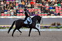 Filename=PT9_7247.jpg
Filesize=8481KiB
Dimensions=3836x2537
Date added=Aug 07, 2022 PT9_7247.jpg