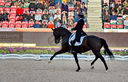 Filename=PT9_7256.jpg
Filesize=9496KiB
Dimensions=3780x2429
Date added=Aug 07, 2022 PT9_7256.jpg
