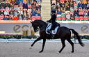 Filename=PT9_7264.jpg
Filesize=7979KiB
Dimensions=3780x2429
Date added=Aug 07, 2022 PT9_7264.jpg