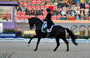 Filename=PT9_7265.jpg
Filesize=7803KiB
Dimensions=3780x2429
Date added=Aug 07, 2022 PT9_7265.jpg