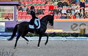 Filename=PT9_7273.jpg
Filesize=8382KiB
Dimensions=3780x2429
Date added=Aug 07, 2022 PT9_7273.jpg