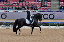 Filename=PT9_7514~0.jpg
Filesize=8459KiB
Dimensions=3756x2442
Date added=Aug 08, 2022 PT9_7514~0.jpg