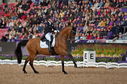 Filename=PT9_8094~0.jpg
Filesize=8258KiB
Dimensions=4017x2654
Date added=Aug 08, 2022 PT9_8094~0.jpg