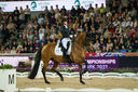 Filename=_DSC0286.jpg
Filesize=3133KiB
Dimensions=4999x3324
Date added=Aug 11, 2022 _DSC0286.jpg