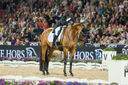 Filename=_DSC0344.jpg
Filesize=7639KiB
Dimensions=3783x2515
Date added=Aug 11, 2022 _DSC0344.jpg