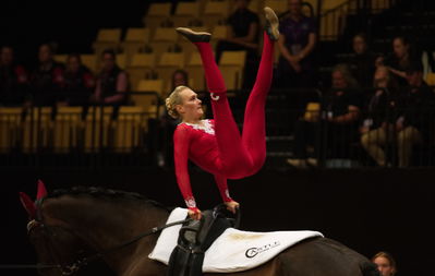 voltering
fei world squad vaulting championship
Keywords: pt