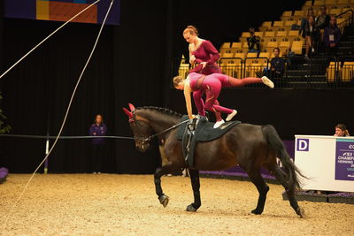 voltering
FEI WORLD PAS-DE-DEUX VAULTING CHAMPIONSHIP
Keywords: pt;maria thinggaard soerensen;freja linde;qiun of oesterholm