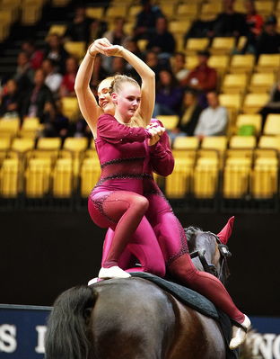 voltering
FEI WORLD PAS-DE-DEUX VAULTING CHAMPIONSHIP
Keywords: pt;maria thinggaard soerensen;freja linde;qiun of oesterholm