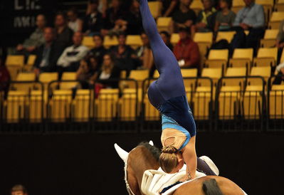 voltering
CH-M-V Herning 2022 - Vaulting
Keywords: pt;iben dines pedersen;tophoejs geleto lieto