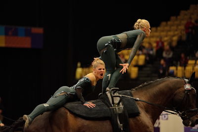 voltering
fei world squad championship final
Keywords: pt;denmark;danmark