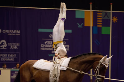 FEI World Vaulting Female Championship
Keywords: Iben Dines Pedersen;Tophoejs Geleto Lieto;cp