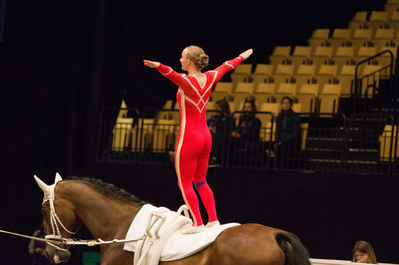 fei world female individual vaulting championship
Keywords: Iben Dines Pedersen;Tophoejs Geleto Lieto;cp