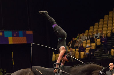 FEI World Vaulting Female Championship
Keywords: Klintholms Ramstein;Sheena Bendixen;cp