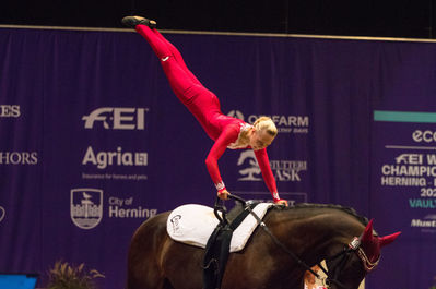 fei world squad vaulting championship
Keywords: cp;denmark