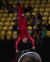 Filename=PT9_6620.jpg
Filesize=9235KiB
Dimensions=2839x3515
Date added=Aug 06, 2022 PT9_6620.jpg