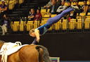 Filename=PT9_8817.jpg
Filesize=11416KiB
Dimensions=3766x2596
Date added=Aug 08, 2022 PT9_8817.jpg