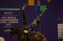 Filename=PT9_9062.jpg
Filesize=8359KiB
Dimensions=4070x2642
Date added=Aug 08, 2022 PT9_9062.jpg