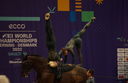 Filename=PT9_9062~0.jpg
Filesize=4245KiB
Dimensions=4200x2726
Date added=Aug 08, 2022 PT9_9062~0.jpg