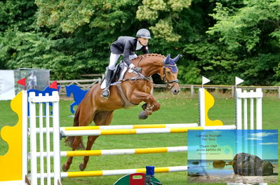 Jumping
csi1p og csi1
Keywords: pt;jonathan fischer;s'artagnan