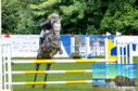 Filename=PT8_0464.JPG
Filesize=356KiB
Dimensions=1229x814
Date added=Sep 04, 2022 PT8_0464.JPG