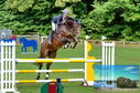 Filename=PT8_0790.JPG
Filesize=450KiB
Dimensions=1229x814
Date added=Sep 04, 2022 PT8_0790.JPG