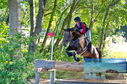 Filename=PT8_0832.JPG
Filesize=586KiB
Dimensions=1229x814
Date added=Sep 04, 2022 PT8_0832.JPG