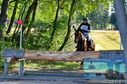 Filename=PT8_0883.JPG
Filesize=646KiB
Dimensions=1229x814
Date added=Sep 04, 2022 PT8_0883.JPG