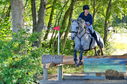 Filename=PT8_0896.JPG
Filesize=600KiB
Dimensions=1229x814
Date added=Sep 04, 2022 PT8_0896.JPG