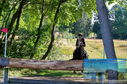 Filename=PT8_0903.JPG
Filesize=663KiB
Dimensions=1229x814
Date added=Sep 04, 2022 PT8_0903.JPG
