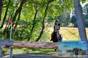 Filename=PT8_0904.JPG
Filesize=638KiB
Dimensions=1229x814
Date added=Sep 04, 2022 PT8_0904.JPG