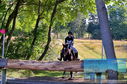 Filename=PT8_0914.JPG
Filesize=670KiB
Dimensions=1229x814
Date added=Sep 04, 2022 PT8_0914.JPG